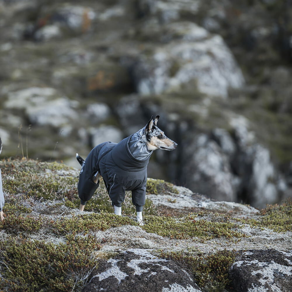 Extreme Overall Hundeoverall