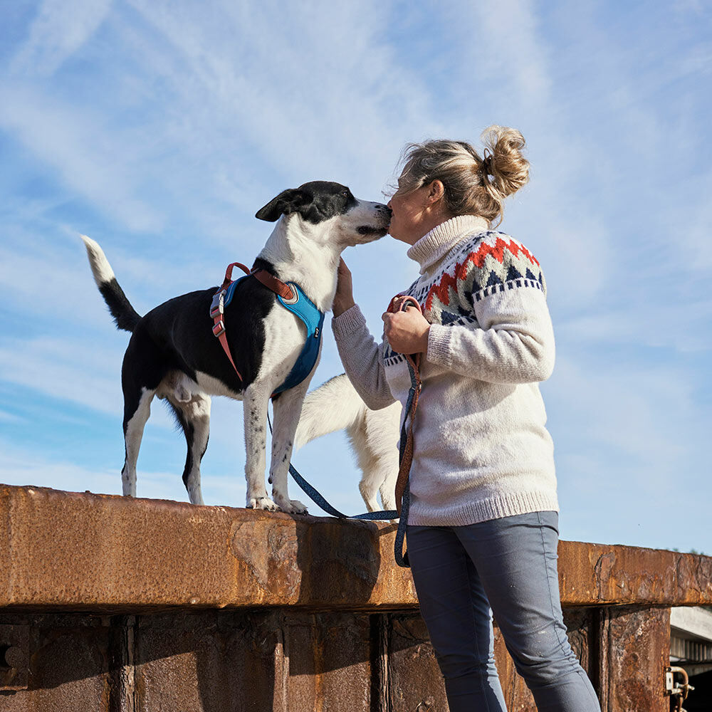 Weekend Warrior Warming Harness ECO