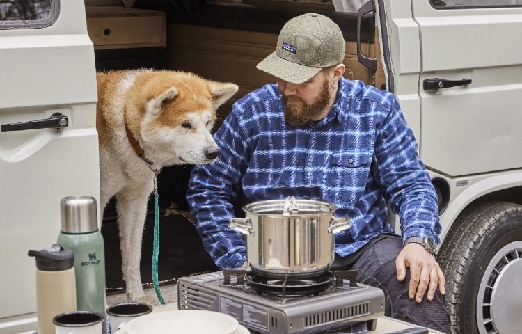 Consider the time of the day when planning a summer activity together with your dog. Early morning or late evenings are usually recommended.