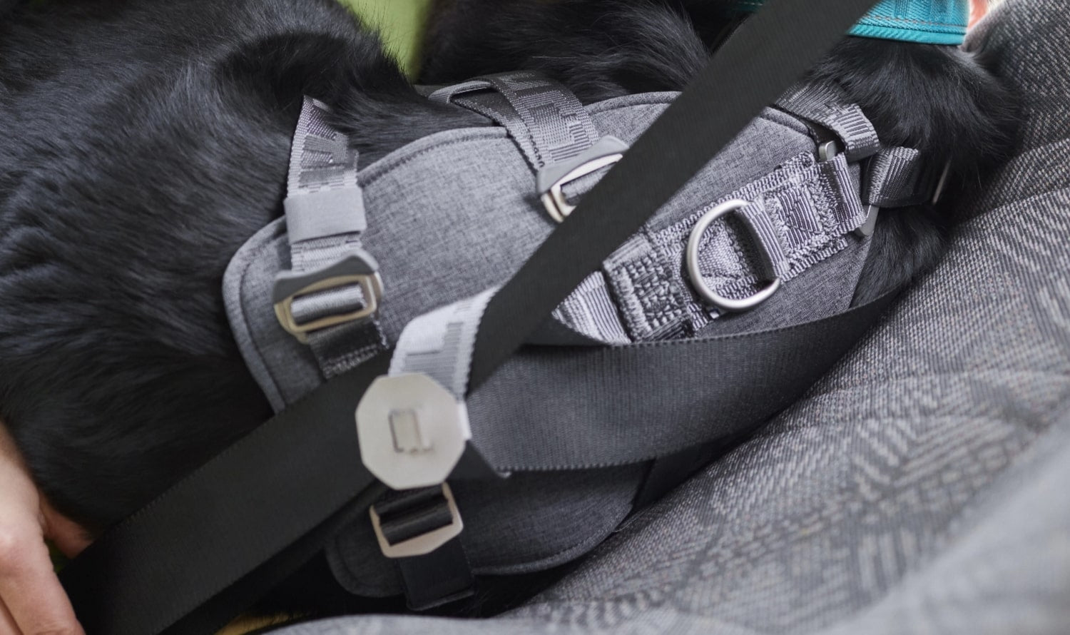 Tough stainless steel components and buckles add an extra layer of protection, while a sturdy harness loop keeps the dog in place and protected against sudden movements.
