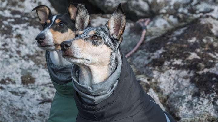 
    Extreme Warmer vinterjacka för hundar