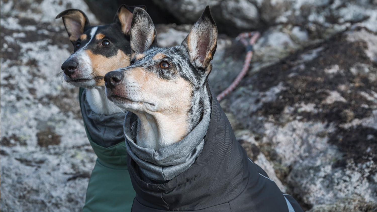 The Extreme Warmer is Hurtta's warmest jacket