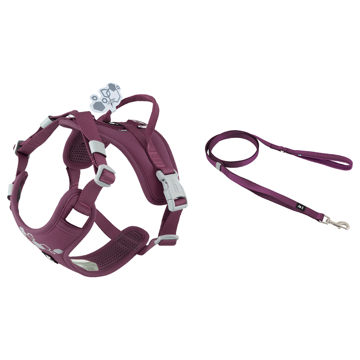 Weekend Warrior Eggplant Set - Harness and Leash
