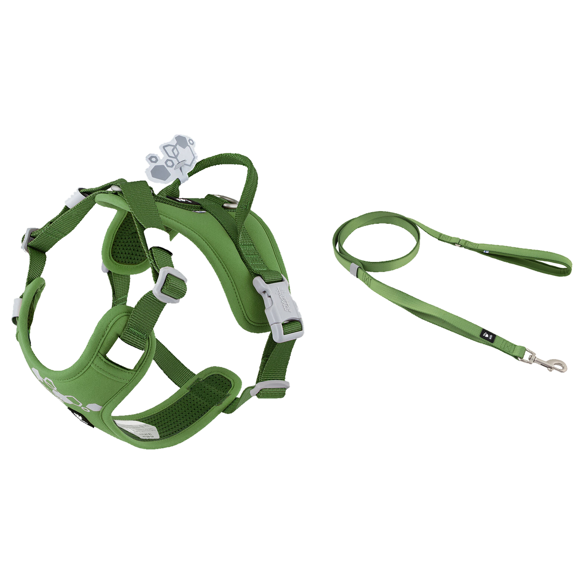 Weekend Warrior Parsley Set - Harness and Leash