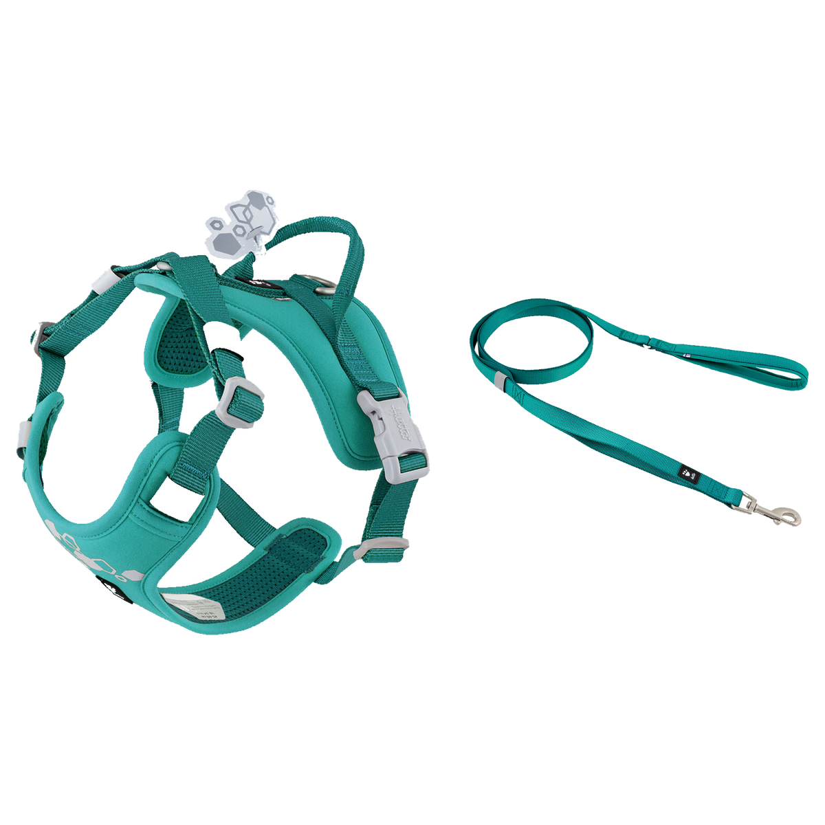 Weekend Warrior Peacock Set - Harness and Leash