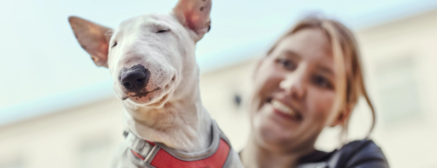 A man's best friend, and an adventure partner for many years.
