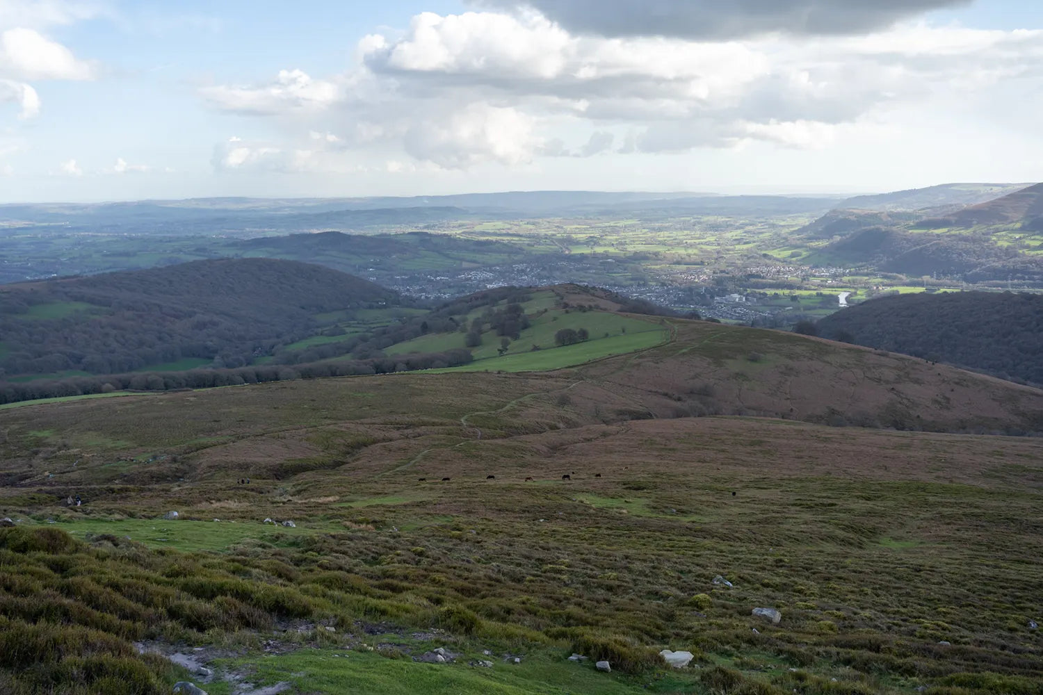 Scenic view of a hilly landscape with green fields and a blue sky.