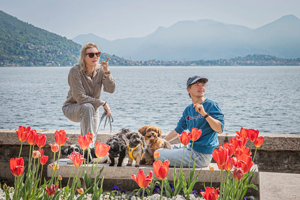 Two people with dogs sitting on a bench by a lake with mountains in the background, surrounded by red tulips.