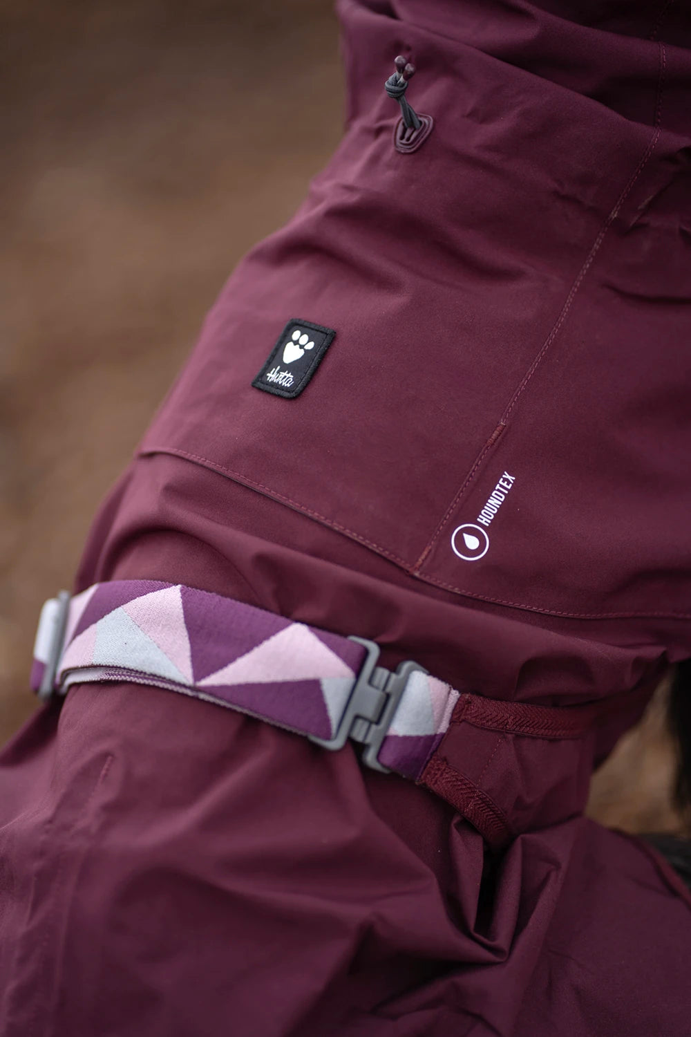 Border Collie wears a Hurtta Mudventure coat eco in the color eggplant purple.