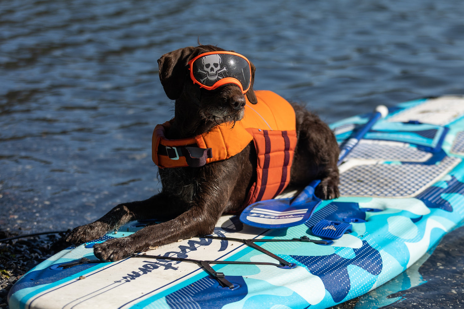 @alaska.unleashed - Confidence on the water