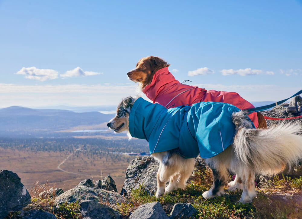 The ultimate playtime parka