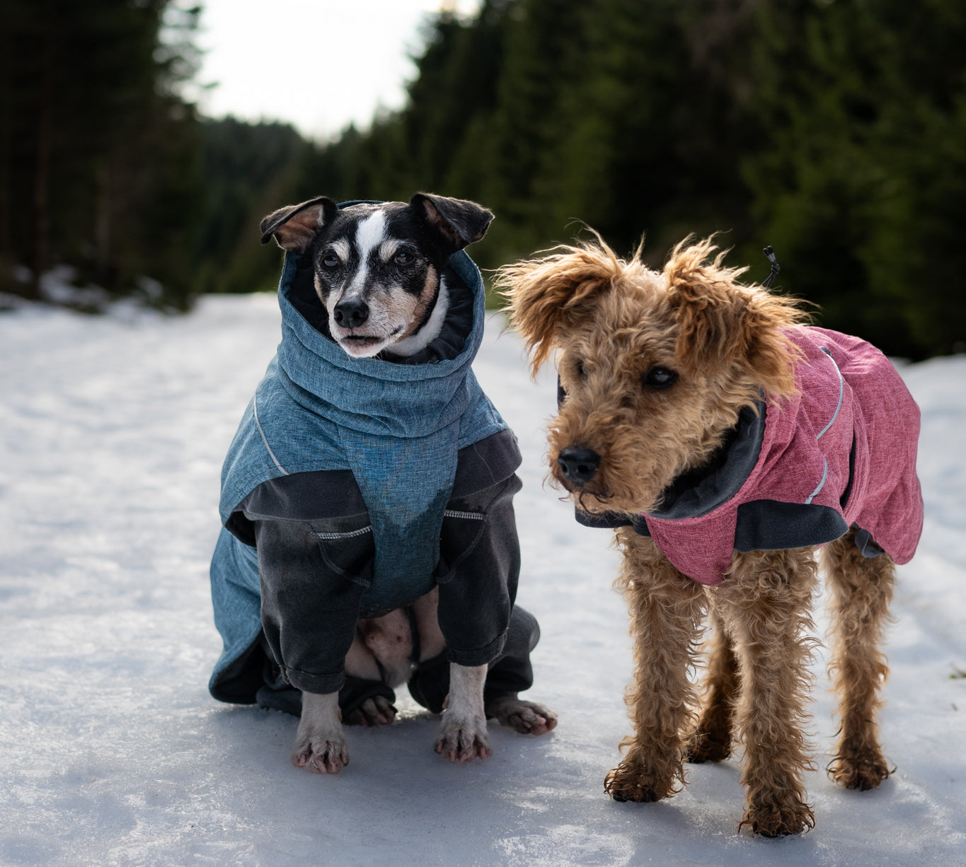@lottaundgustav - Ready for winter adventures!