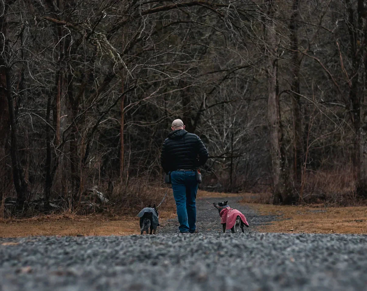 @cattledogsandco - Making Time for Everyday Adventures with Your Dog