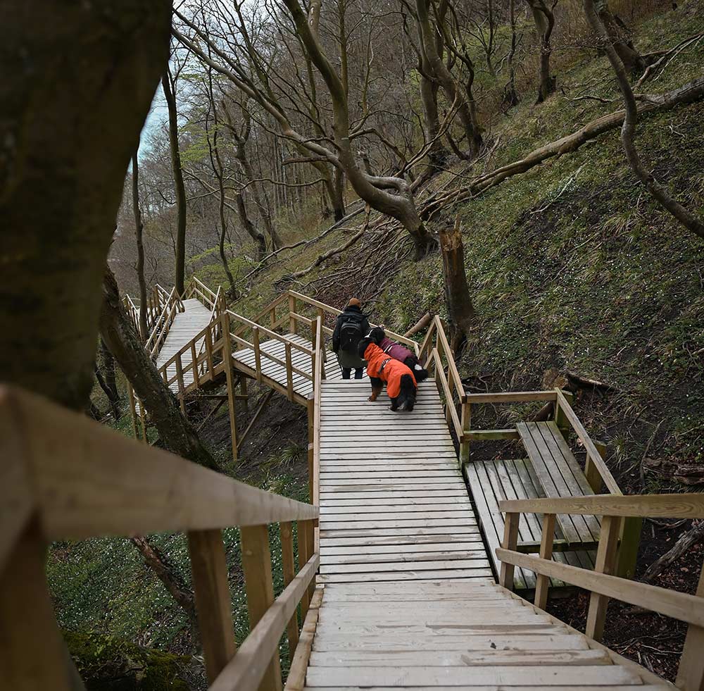 @doublefluftrouble - Adventure at Møns Klint