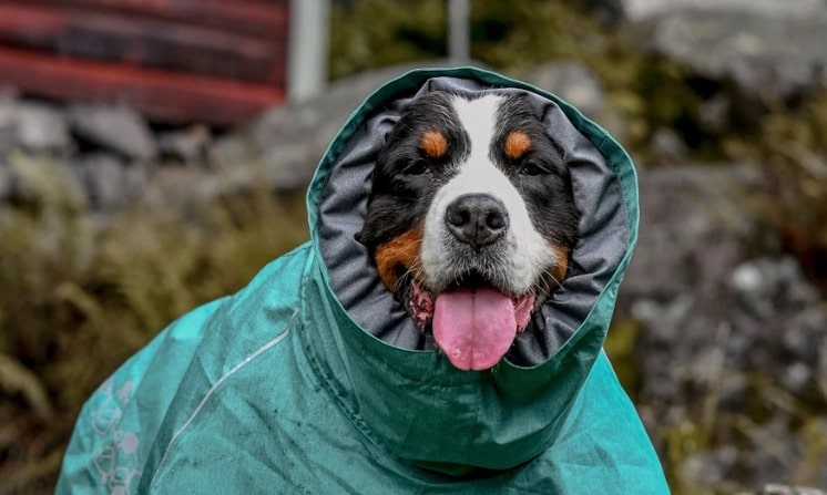Monsoon Coat II ECO testimonial
