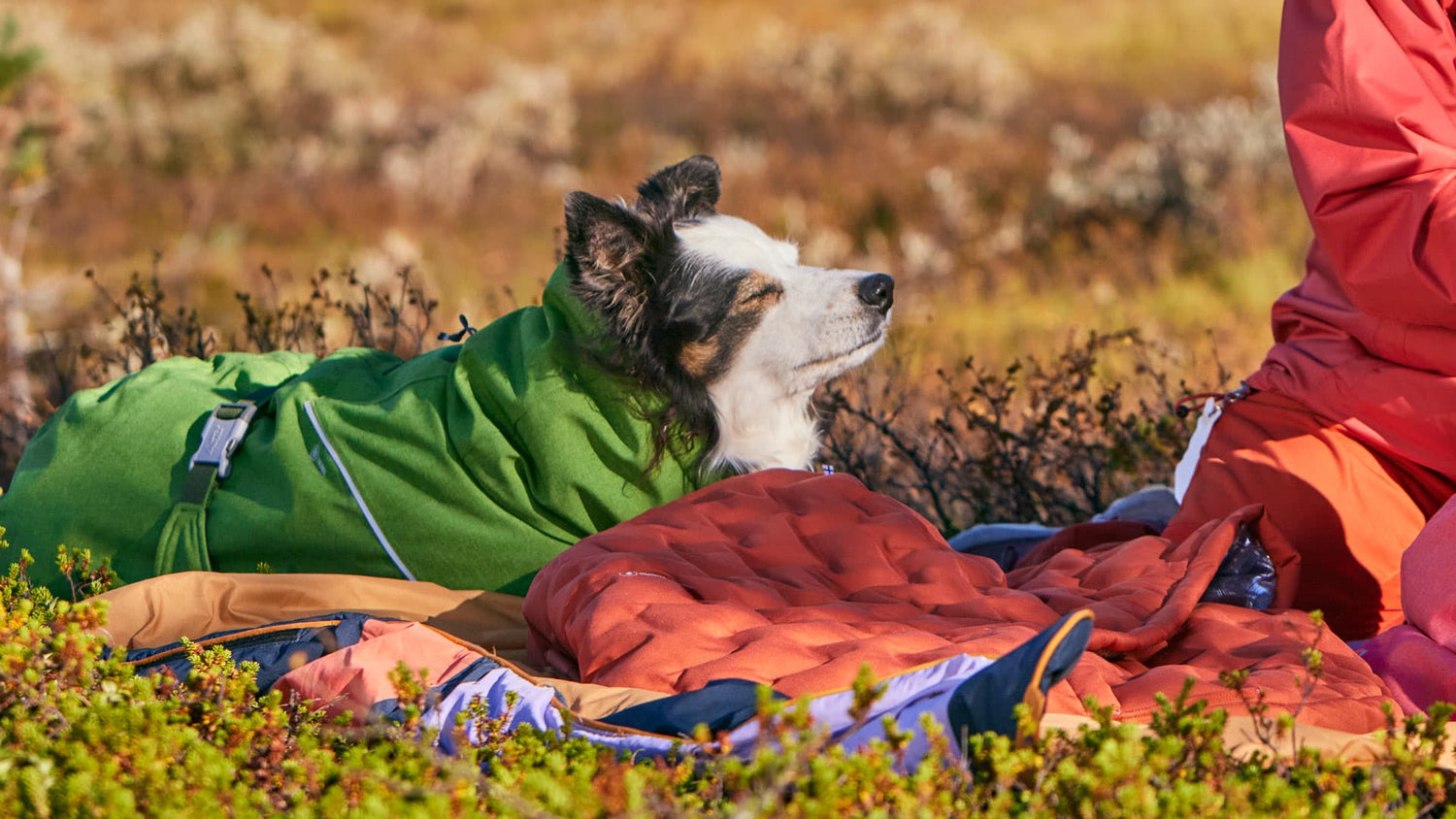 Dog Sleeping Bag: A Cozy, Warmer Nest