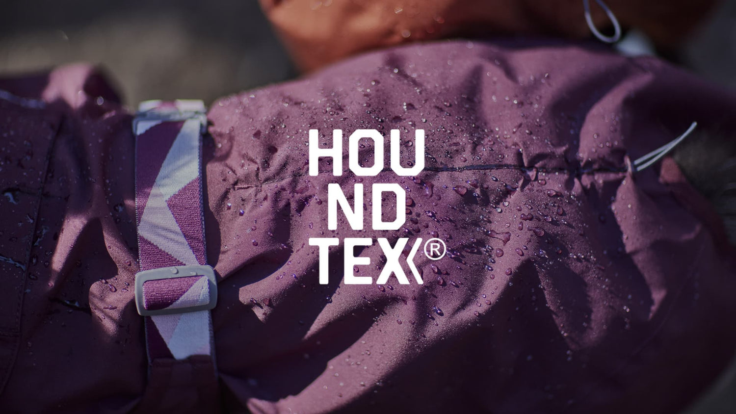Hurtta Houndtex® – Protection and Comfort for Over 20 Years