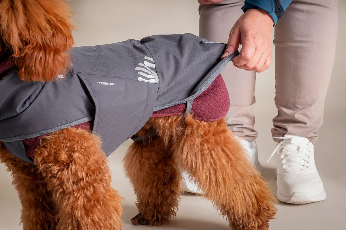 Layering for dogs: 1+1=3