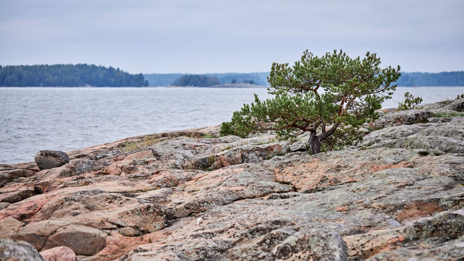 On the path to sustainability