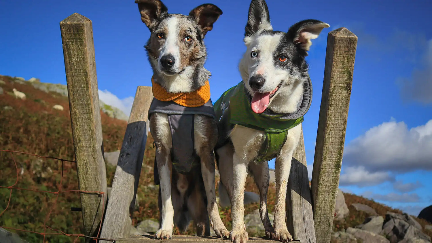 Testimonial on Walk All-Season Jacket