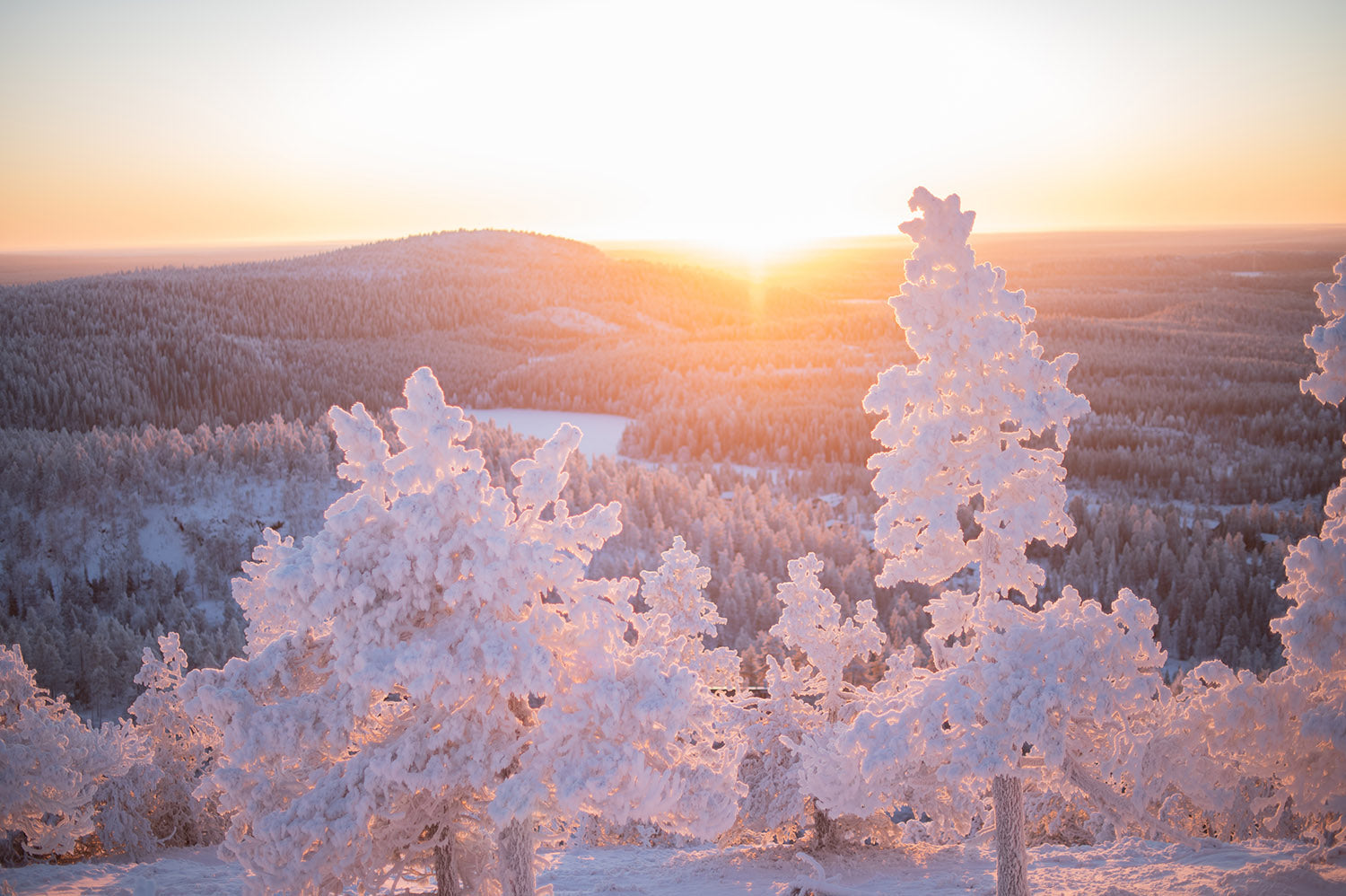 @photosbypattra - Embracing the Nordic Winter