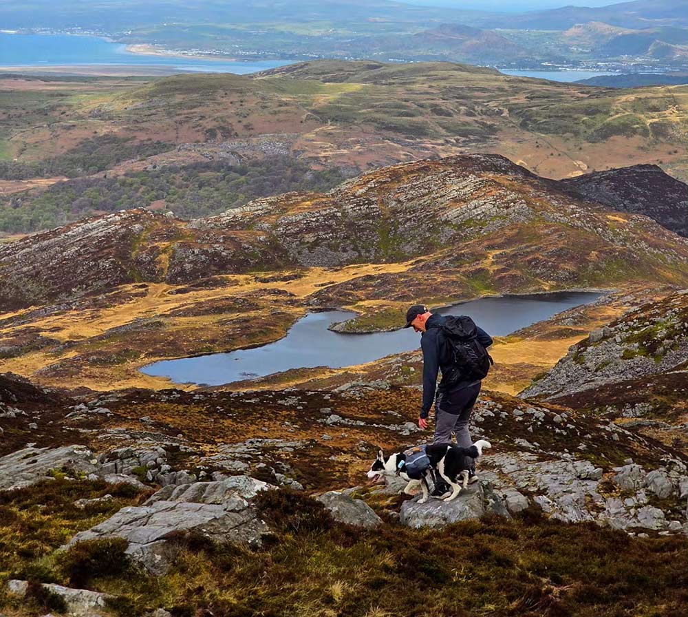 @rivers__and_roads - A quieter more remote side of a popular national park.