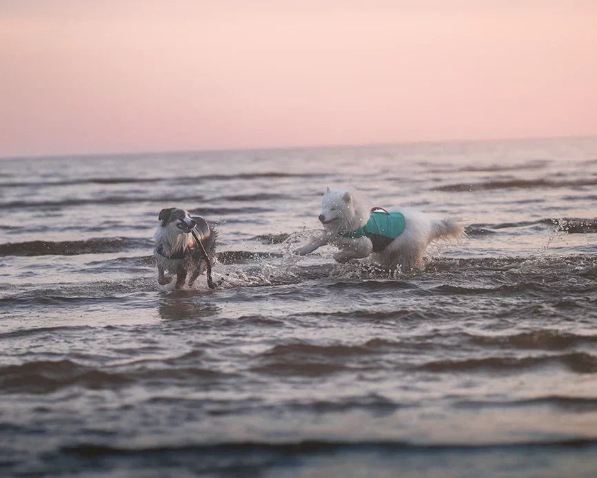 @Sammypolarbear - A Summer Full of Water and Sunshine