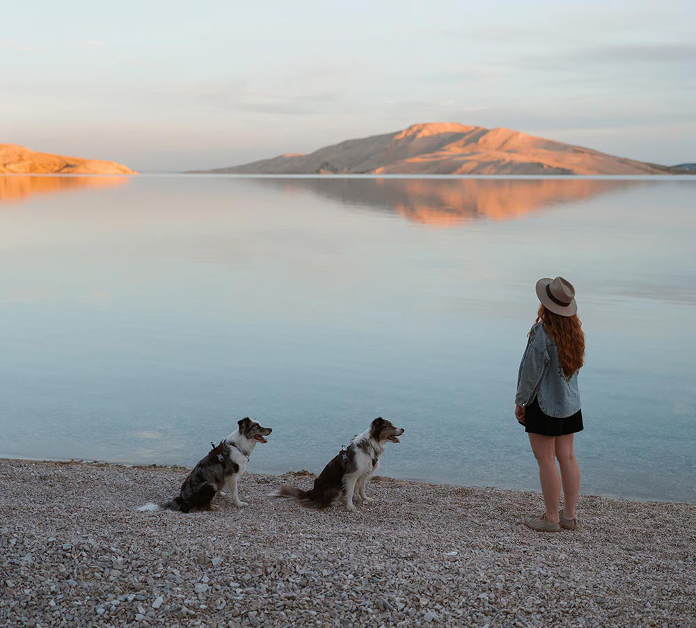 @twomerlecollies - A Journey Through Croatia