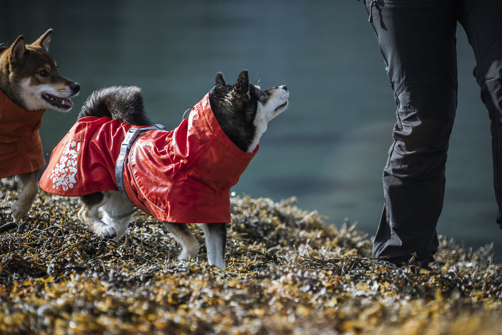 Wet weather warriors