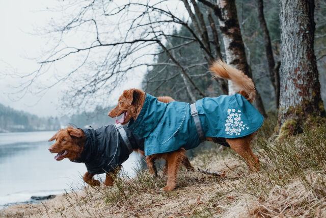Hurtta rainwear for dogs – Hurtta.com