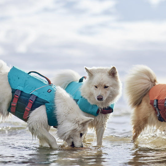Life Savior ECO Dog Life Vest - Hurtta.com