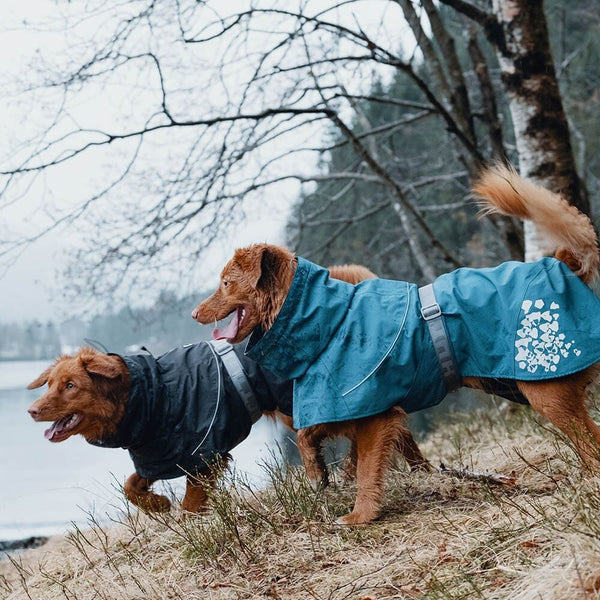 Monsoon Coat rain jacket for dogs – Hurtta.com
