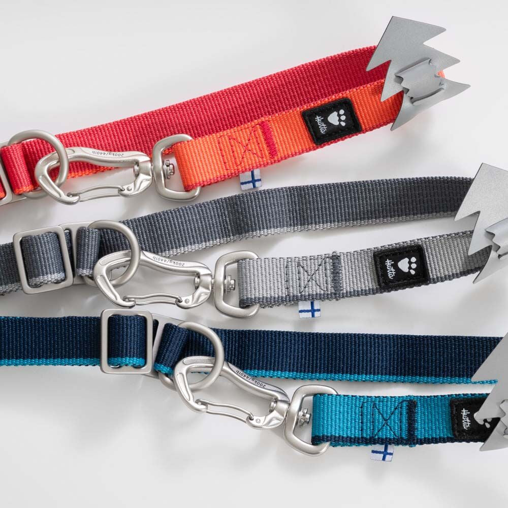 Multilong Leash II