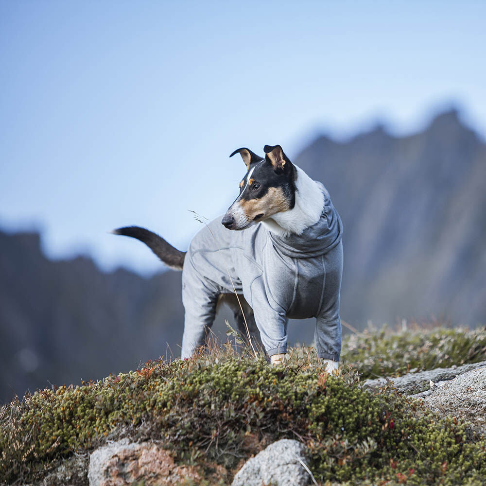 Body Warmer dog overall – Hurtta.com