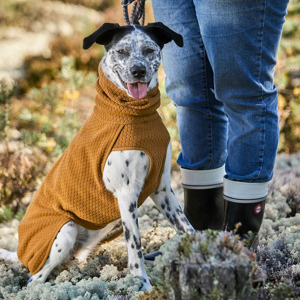 Warming Midlayer ECO dog jacket – Hurtta.com