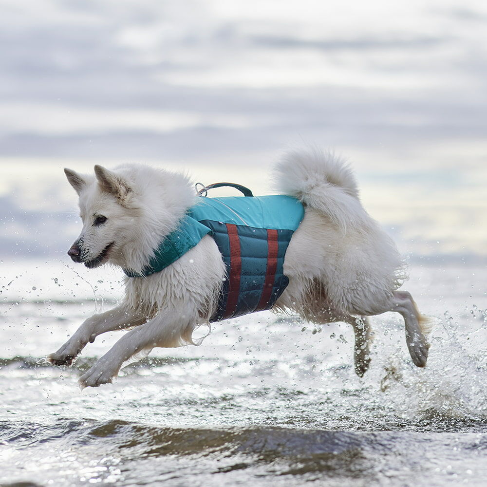 Life Savior ECO Life Vest