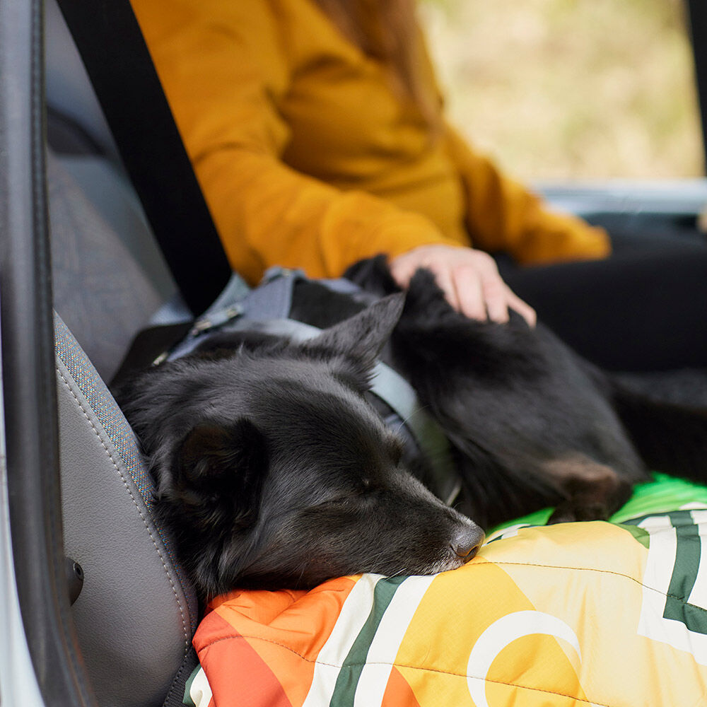 Reise-Hundegeschirr ECO