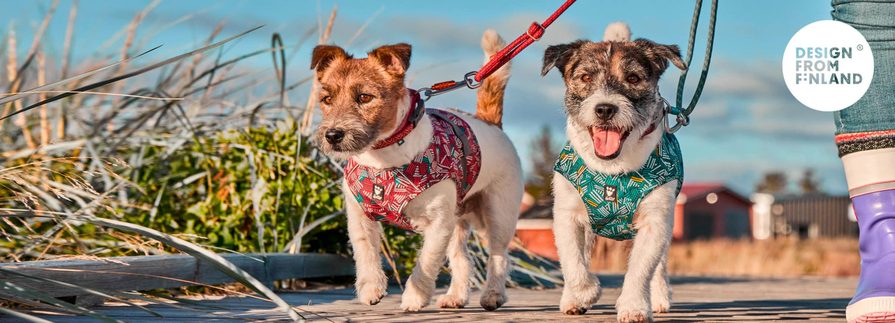 Dog clothing, harnesses, collars and leashes