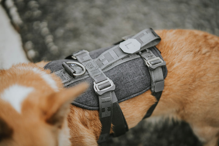 <p>A rugged handle and leash ring make the dog harness perfect for quick bathroom breaks on the road. </p>
