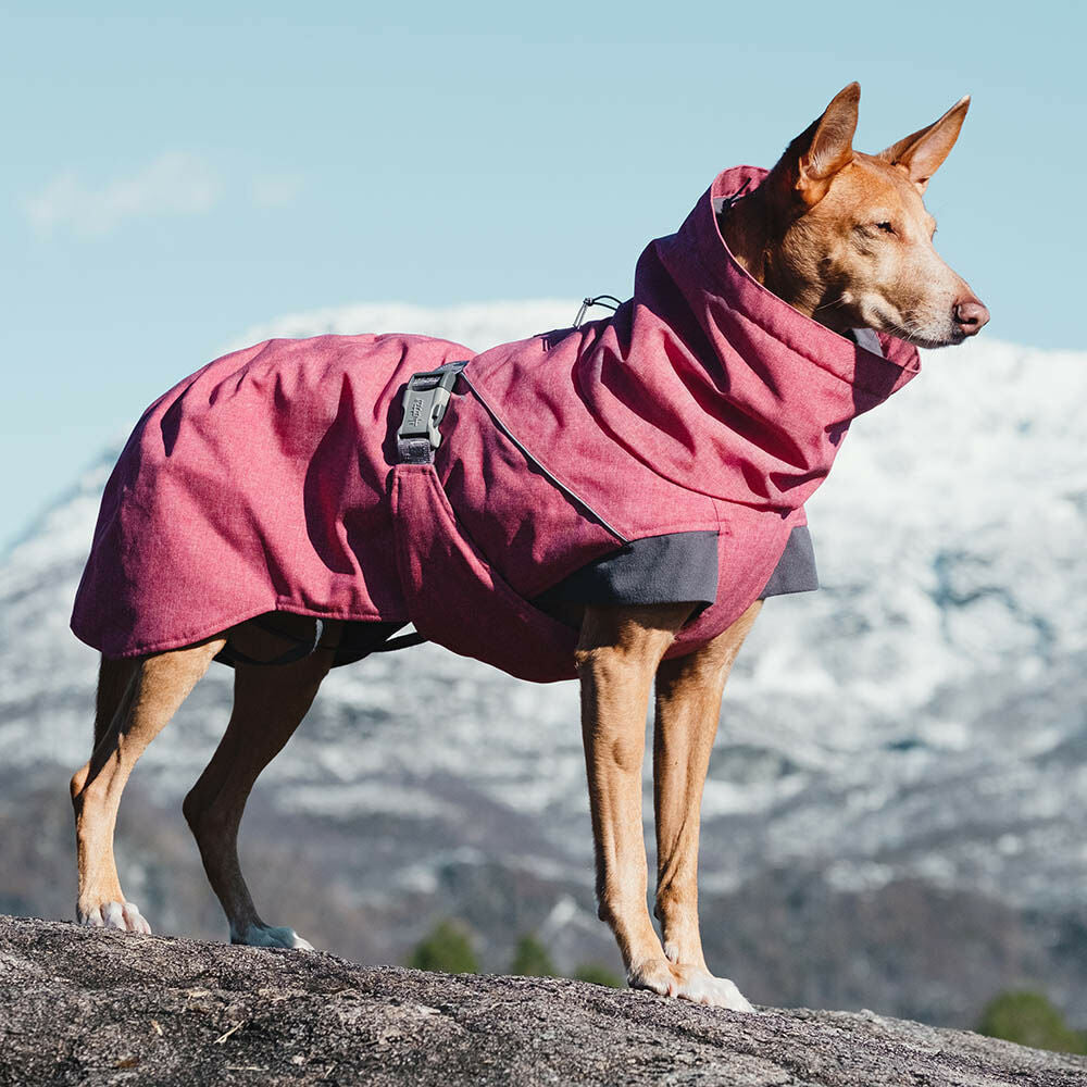 Expedition Parka Hundemantel