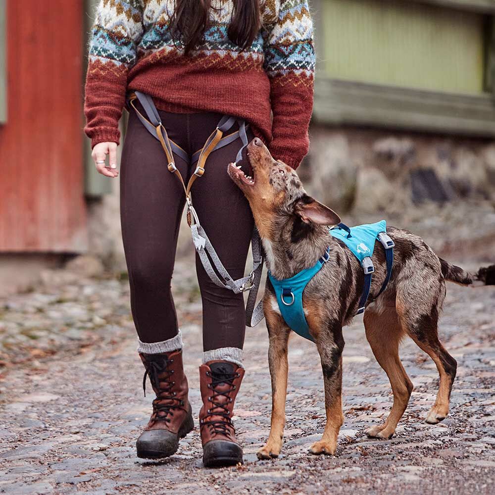 Safeguard Harness ECO