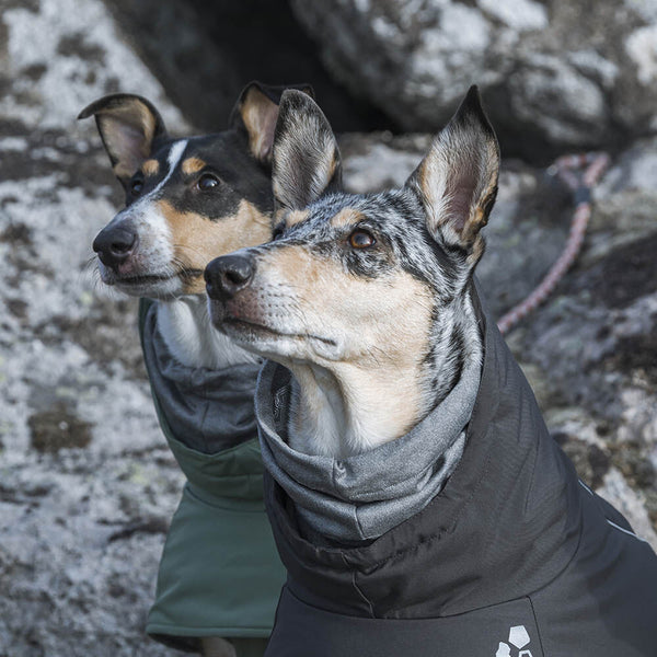 Extreme Warmer winter jacket for dogs – Hurtta.com
