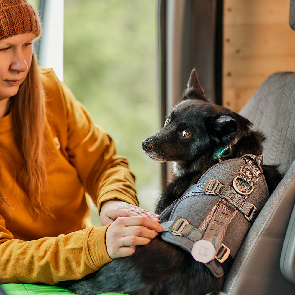 Reise-Hundegeschirr ECO
