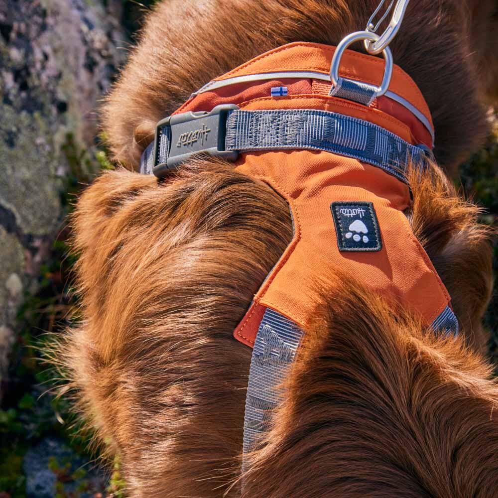 Rover Harness