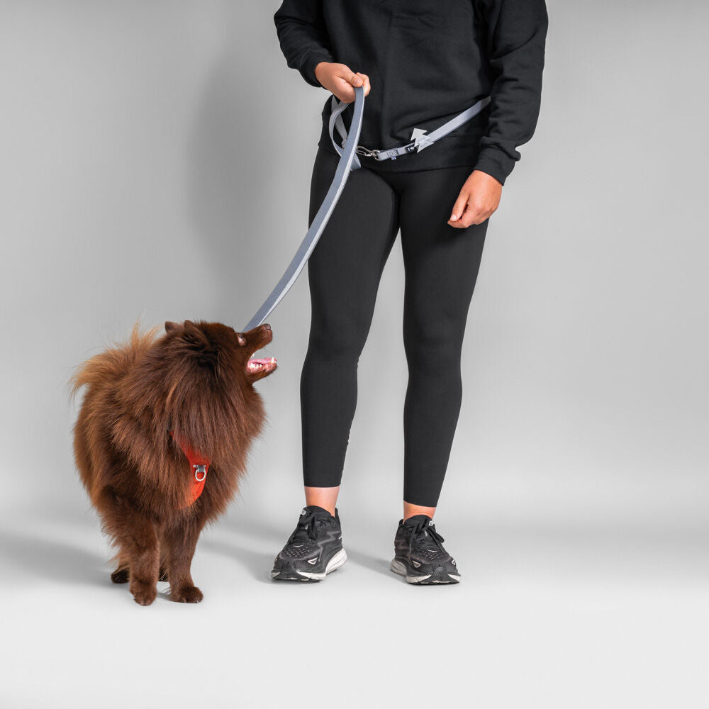 Multilong Leash II