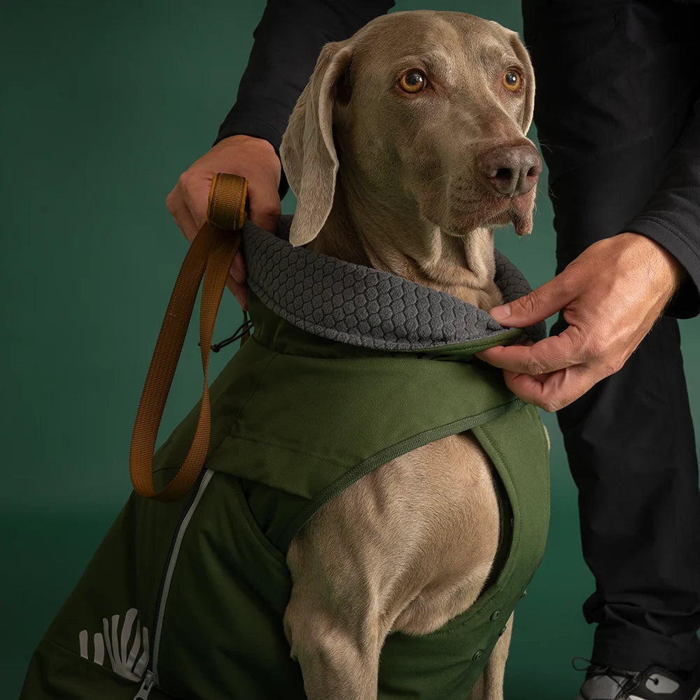 Walk All-Season Jacket