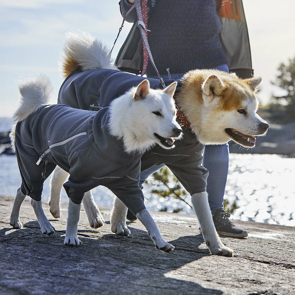 Midlayer Overall for dogs – Hurtta.com
