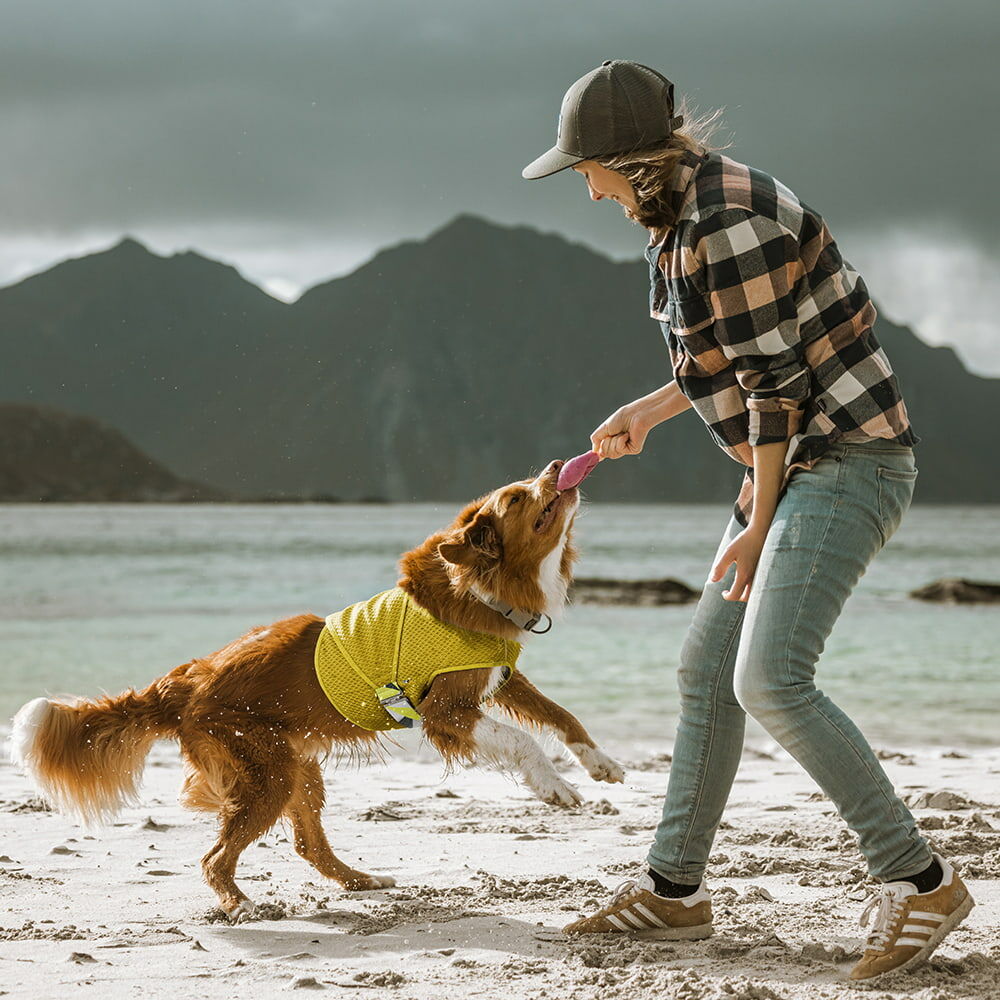 Hurta Cooling Wrap dog cooling vest – Hurtta.com