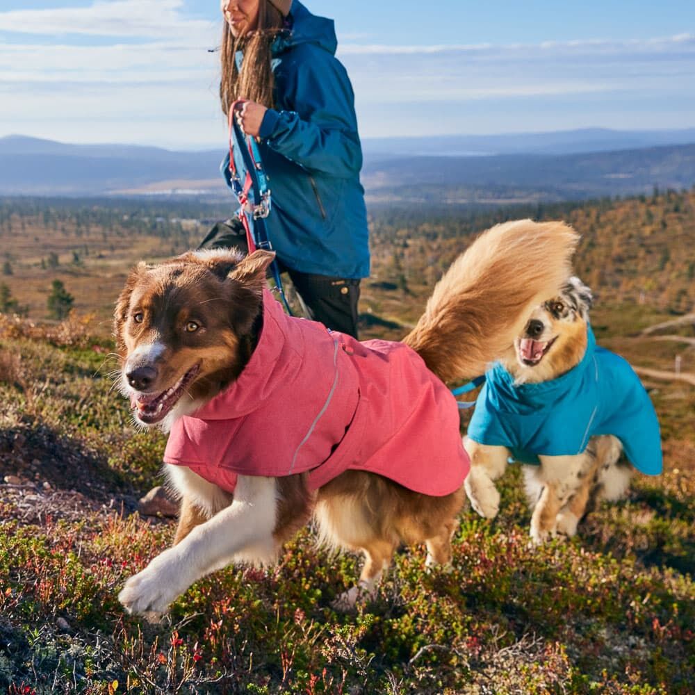 Expedition Parka II – Warm & Weatherproof dog winter coat – Hurtta.com