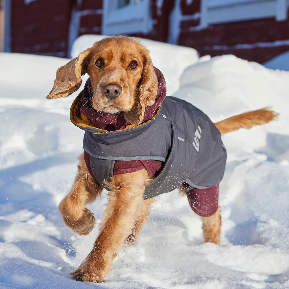 Walk All-Season Jacket
